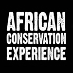 african conservation experience